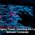 When Online Ads Become macOS Malware